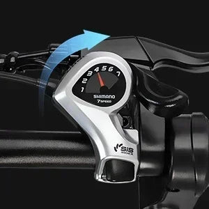 Ebike, Q20, 20-inch urban commuter electric bike, high carbon steel frame, 7-speed transmission, 750W motor, 48V-20ah battery